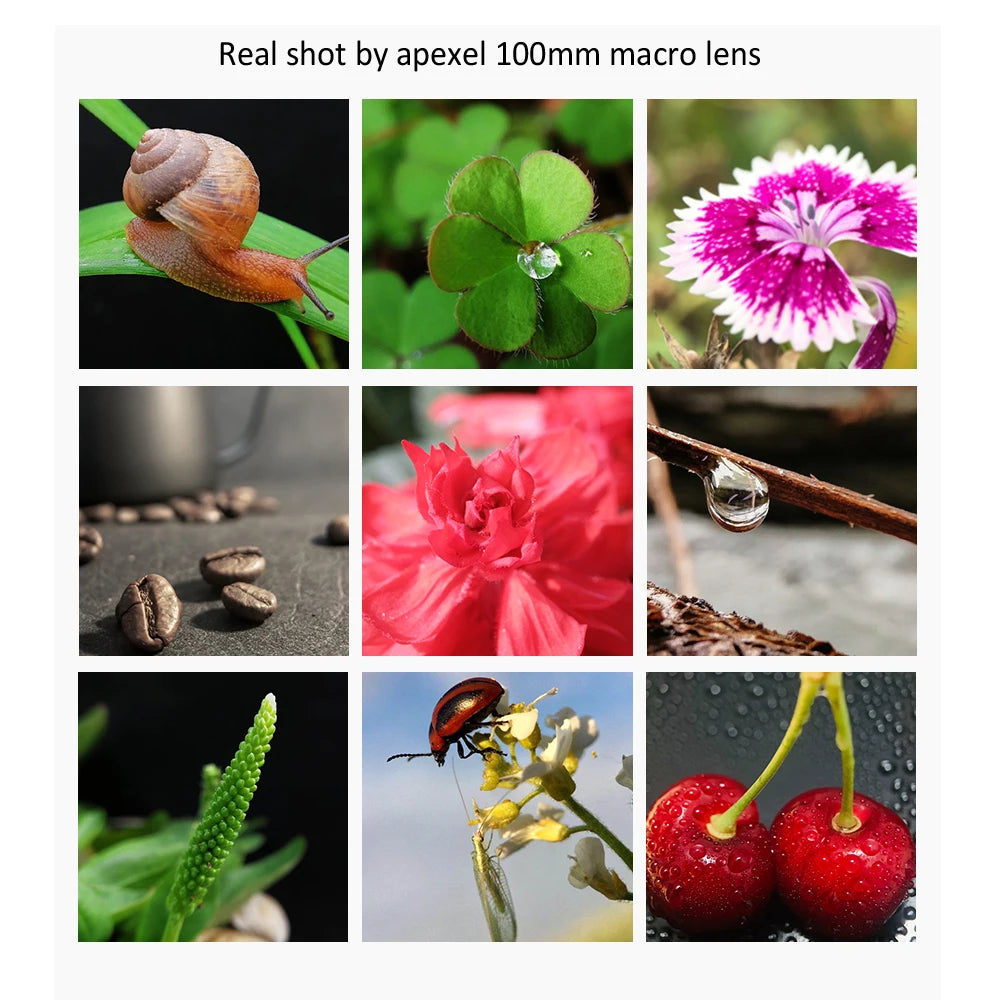 100mm Macro Lens